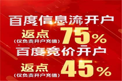 百度搜索引擎优化推广：成功案例揭秘